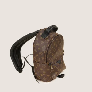 Palm Springs PM Backpack